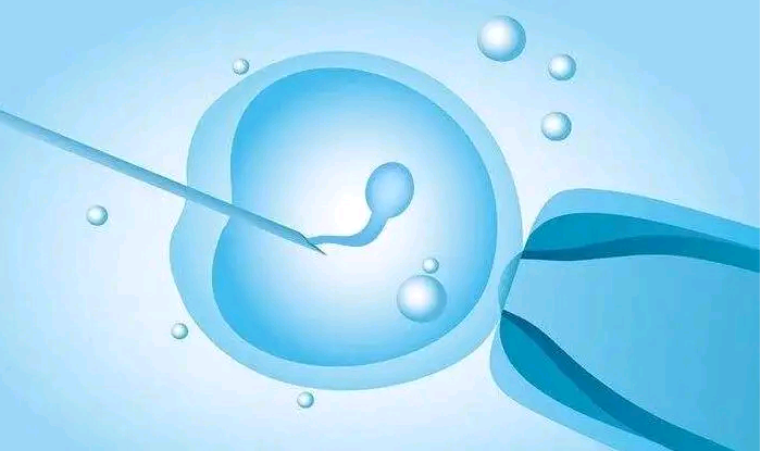 河北包生男孩试管供卵|2023衢州三代试管助孕生混血宝宝费用表在这，过程看完