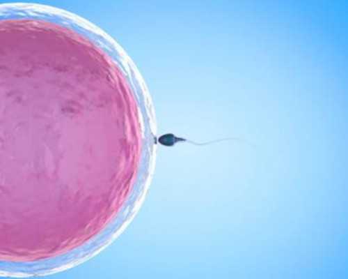 深圳供卵试管婴儿单周费用明细一览，2023借卵试管生男孩费用清单_胚胎移植