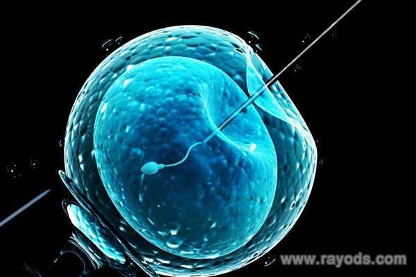 切除子宫不能生育_染色体异常胎停_中山六院试管婴儿流程有哪些取卵是否会有