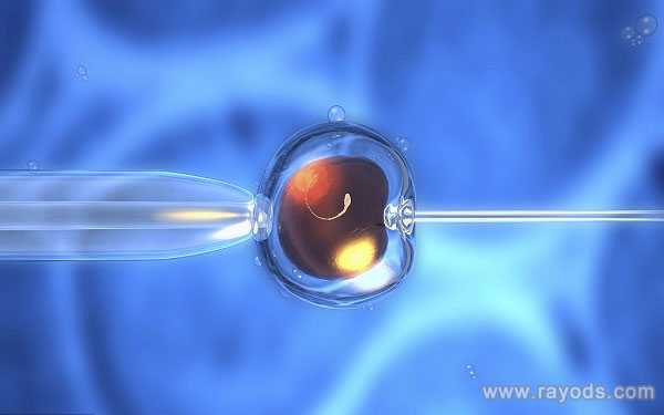 输卵管积水做试管_子宫切除后怀孕了_广州做三捐卵对身体的危害代试管婴儿需