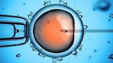 生了孩子子宫切除_子宫切除却怀孕了_试管婴儿胚胎移植后多久着床(试管婴儿胚