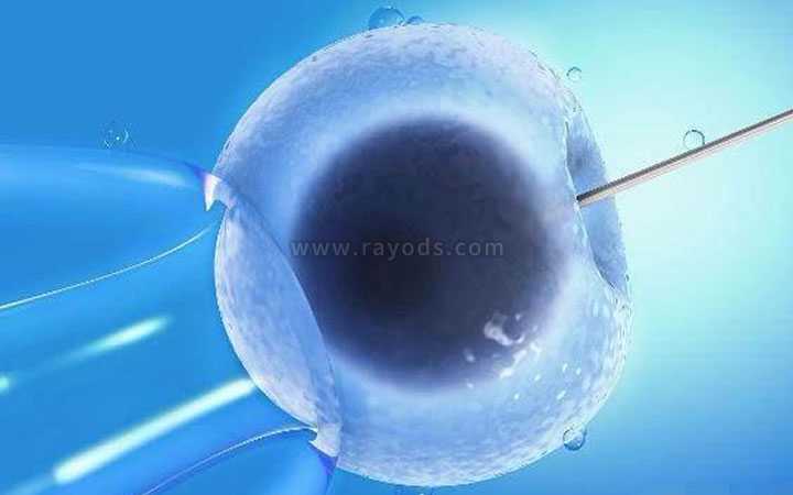 子宫切除 怀孕了_输卵管积水_昌平试管婴儿胚胎什么等级最好 胚胎的培育过程