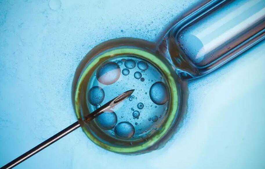 染色体异常和生化_宫寒胚胎不发育_德阳市不孕不育医院选择标准是什么？哪个