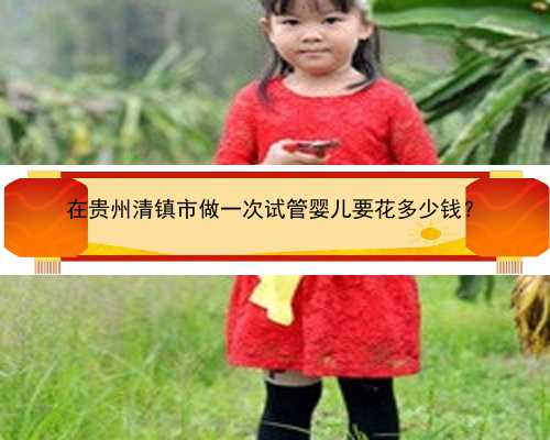在贵州清镇市做一次试管婴儿要花多少钱？