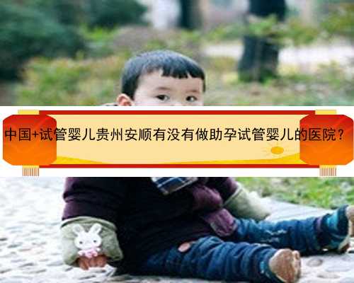 中国+试管婴儿贵州安顺有没有做助孕试管婴儿的医院？